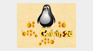 Calvin26
