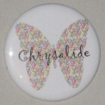 Association Chrysalide - Lyon